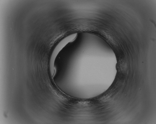 X0000091690450200709201301