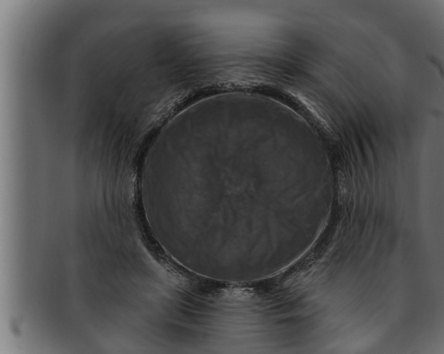 X0000091690451200709201301