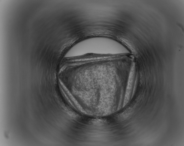 X0000091690453200709201301