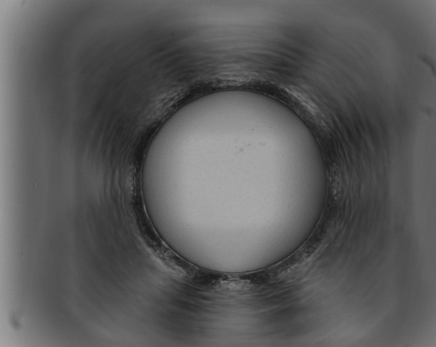 X0000091690455200709201301