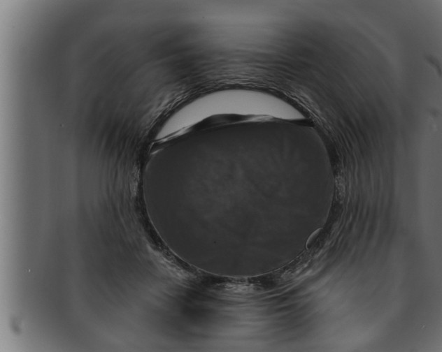 X0000091690458200709201301