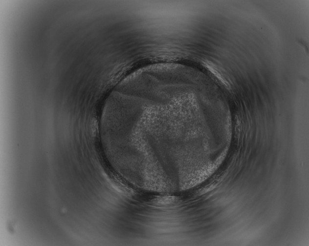 X0000091690459200709201301