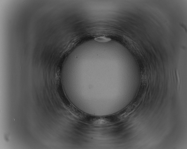 X0000091690460200709201301