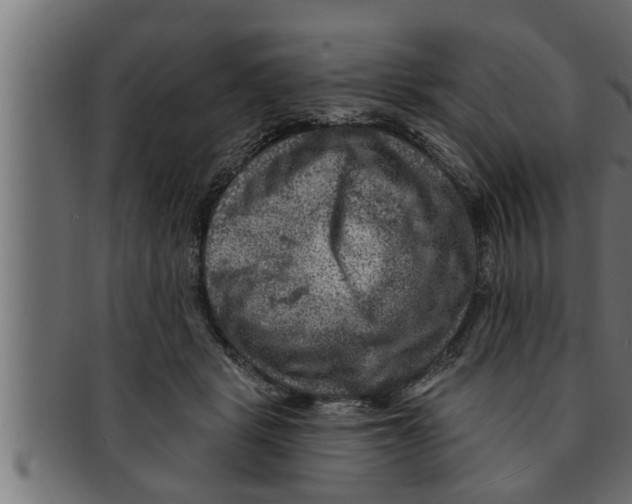 X0000091690461200709201301