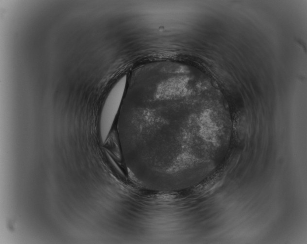 X0000091690462200709201301