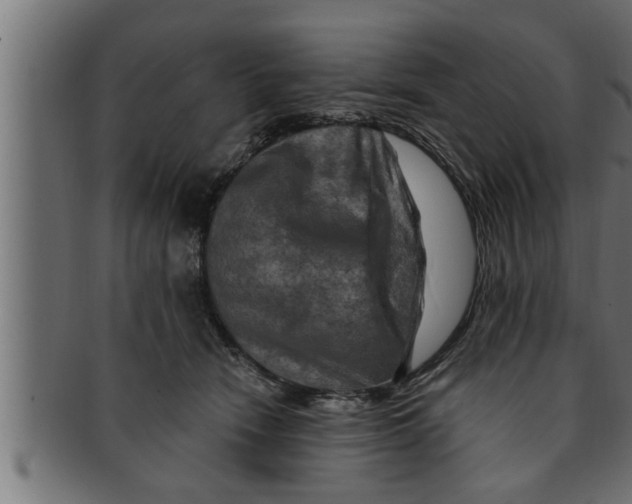 X0000091690466200709201301