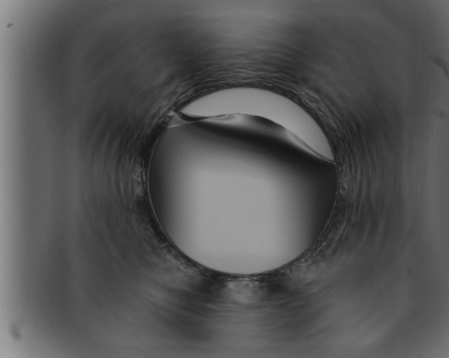 X0000091690470200709201301