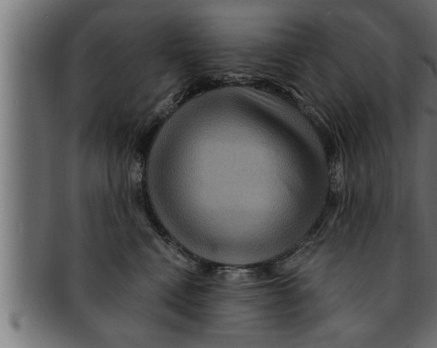 X0000091690472200709201301