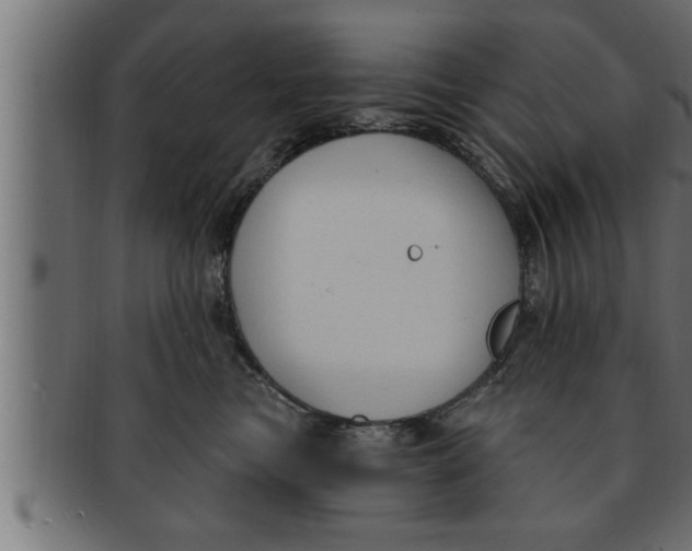 X0000091690473200709201301