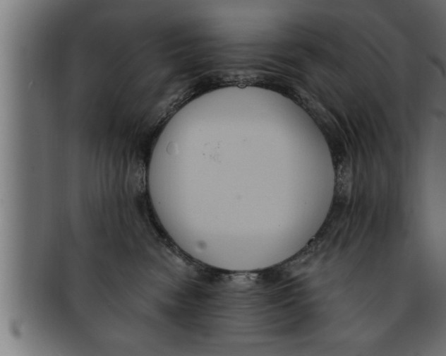 X0000091690474200709201301