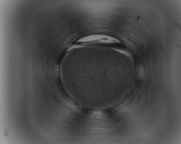 X0000091690475200709201302