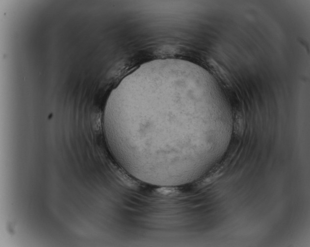 X0000091690477200709201302