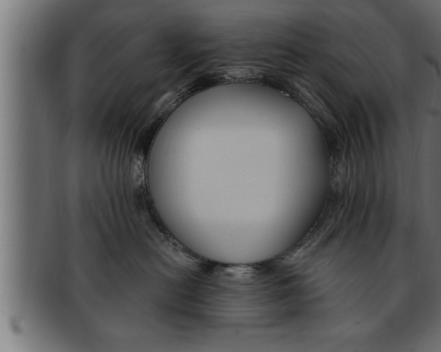 X0000091690478200709201302