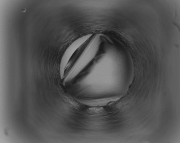 X0000091690480200709201302