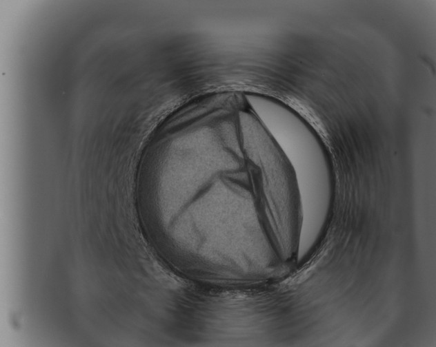 X0000091690481200709201301