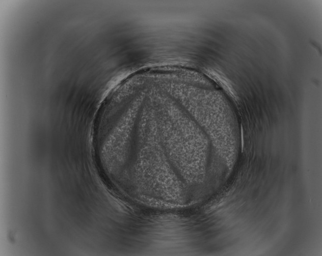 X0000091690483200709201301