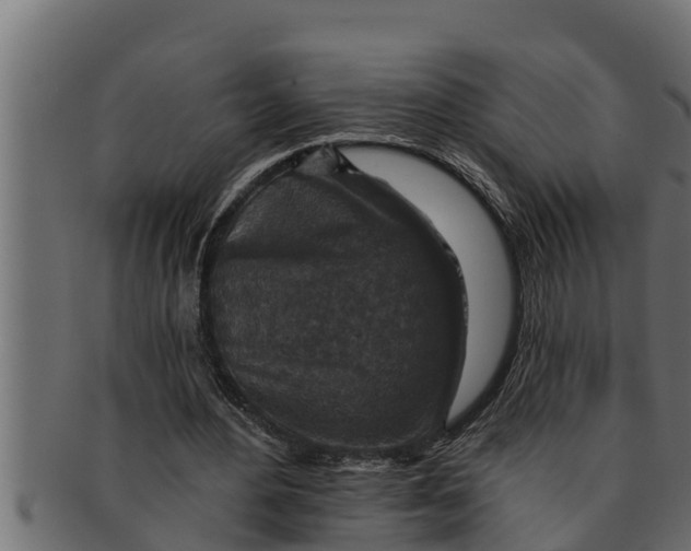 X0000091690484200709201301