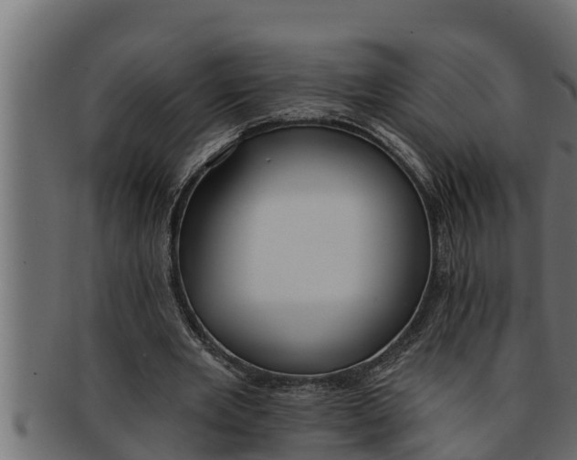 X0000091690485200709201301