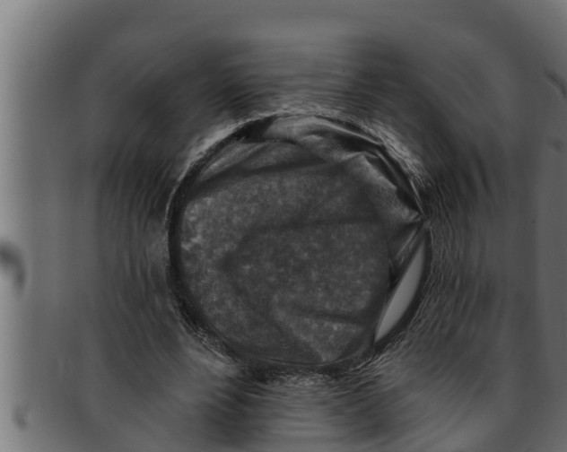 X0000091690488200709201301