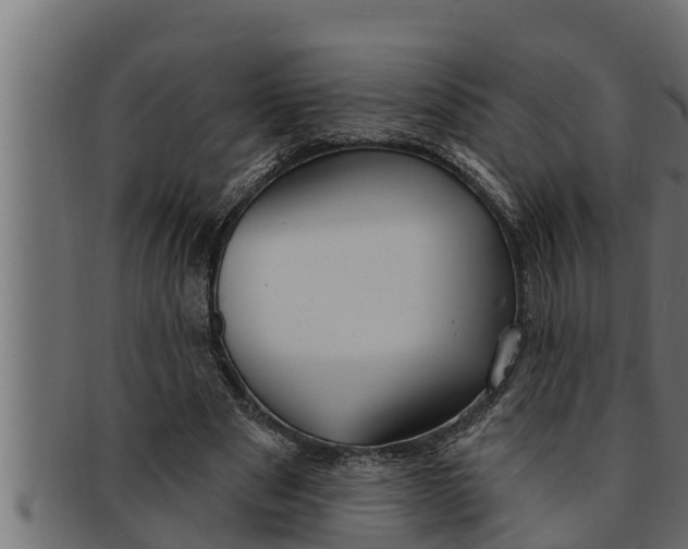 X0000091690489200709201301