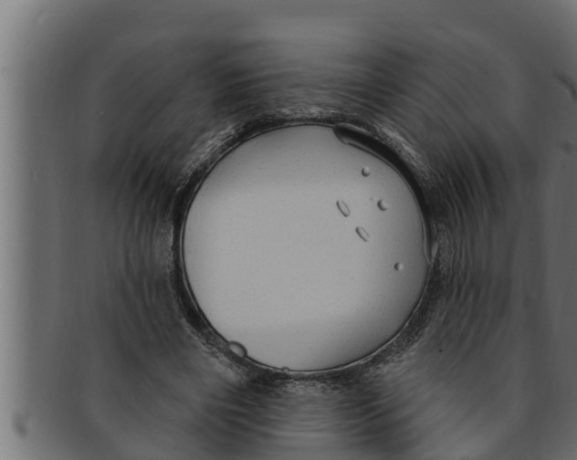 X0000091690490200709201301