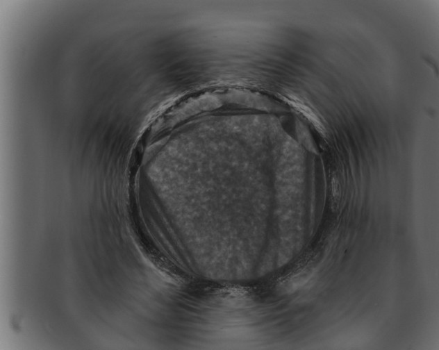 X0000091690492200709201301