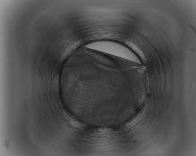 X0000091690493200709201301