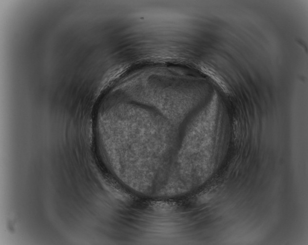 X0000091690494200709201301