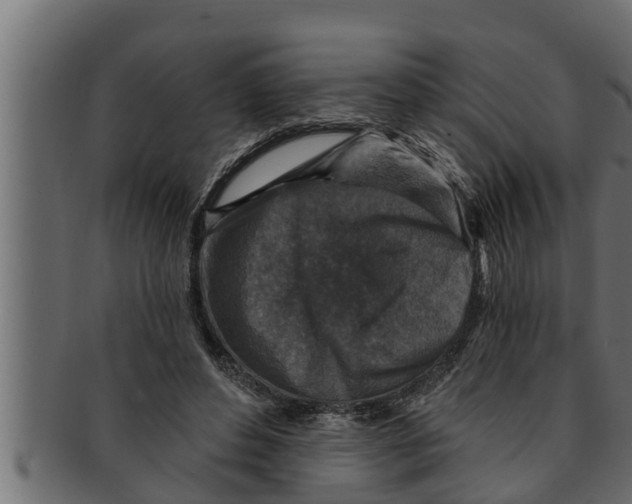 X0000091690496200709201301