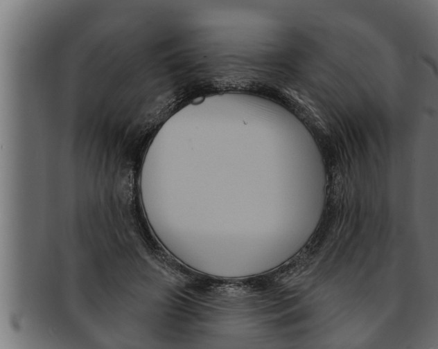 X0000091690498200709201301