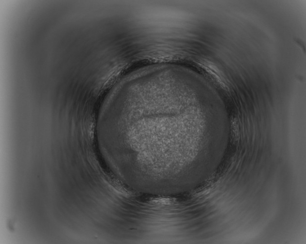 X0000091690499200709201301