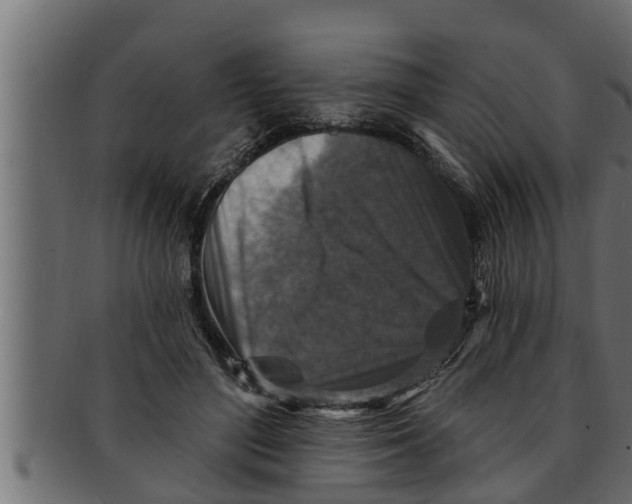 X0000091690500200709201301