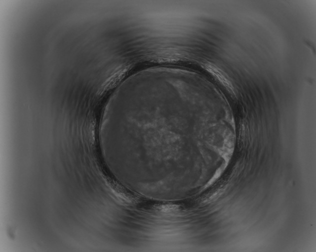 X0000091690501200709201301