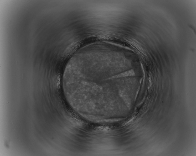 X0000091690502200709201301