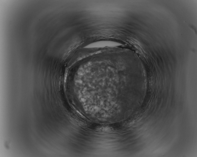 X0000091690503200709201301