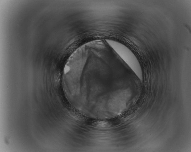 X0000091690507200709201301