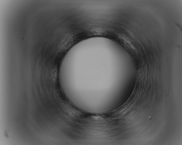 X0000091690509200709201301