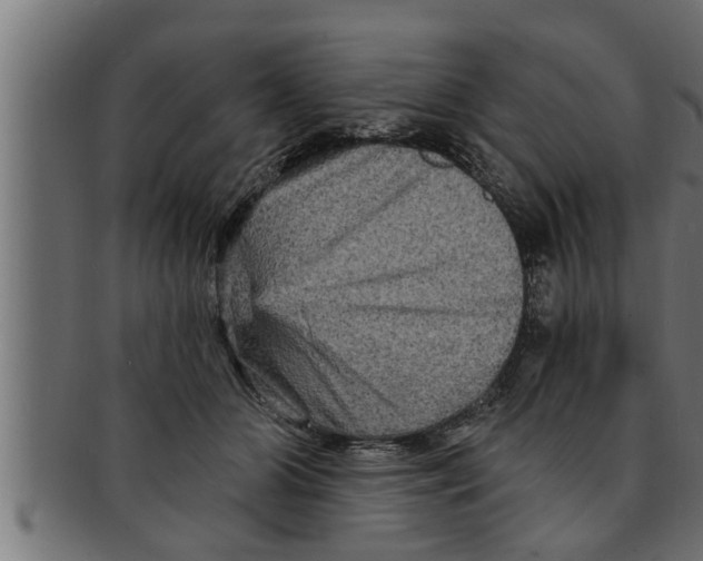 X0000091690510200709201301