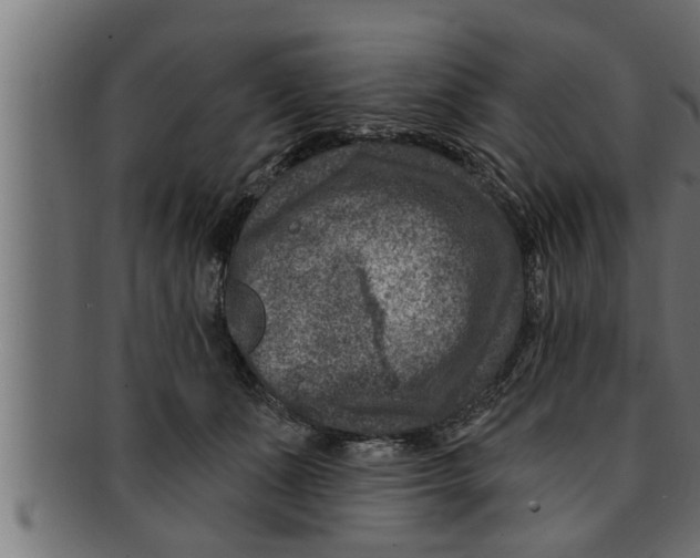 X0000091690511200709201301