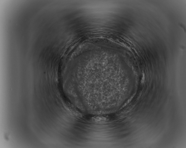 X0000091690512200709201301