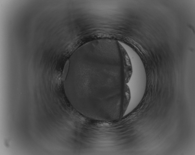 X0000091690513200709201301