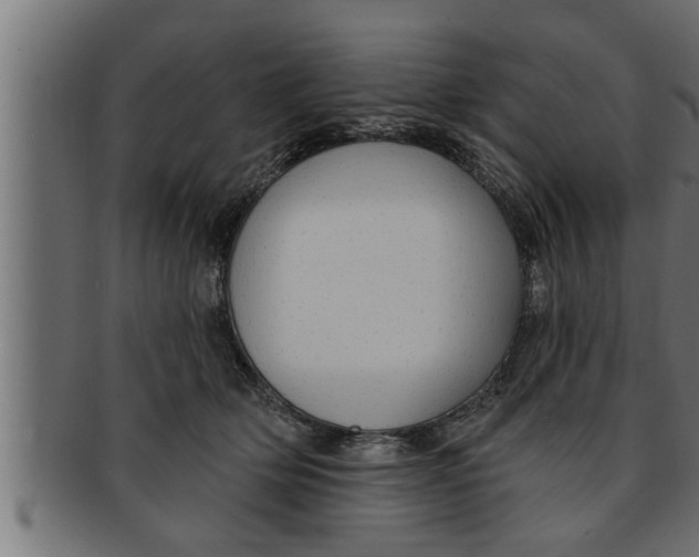 X0000091690514200709201301