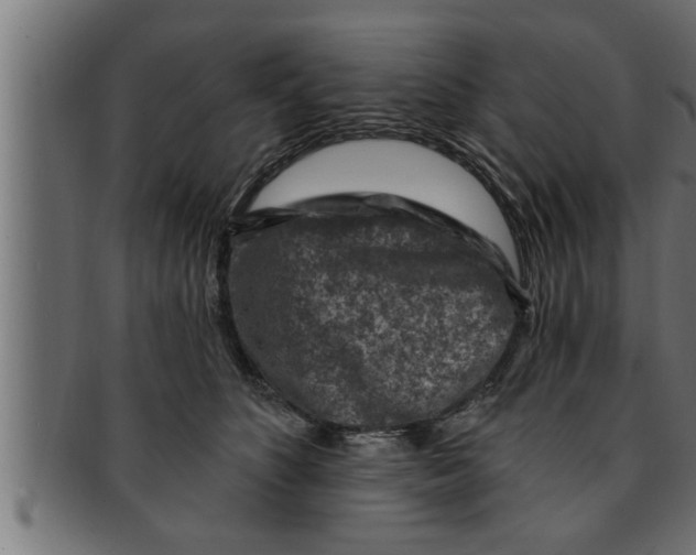 X0000091690516200709201301