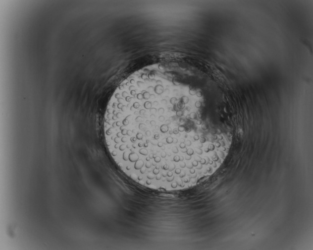 X0000091690519200709201301