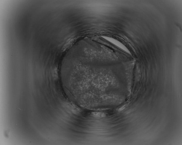 X0000091690520200709201301