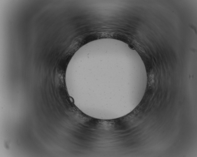 X0000091690522200709201301