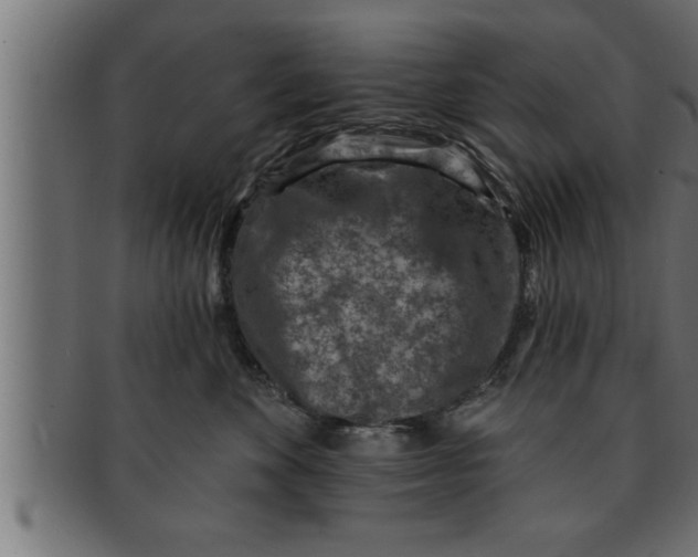 X0000091690524200709201300