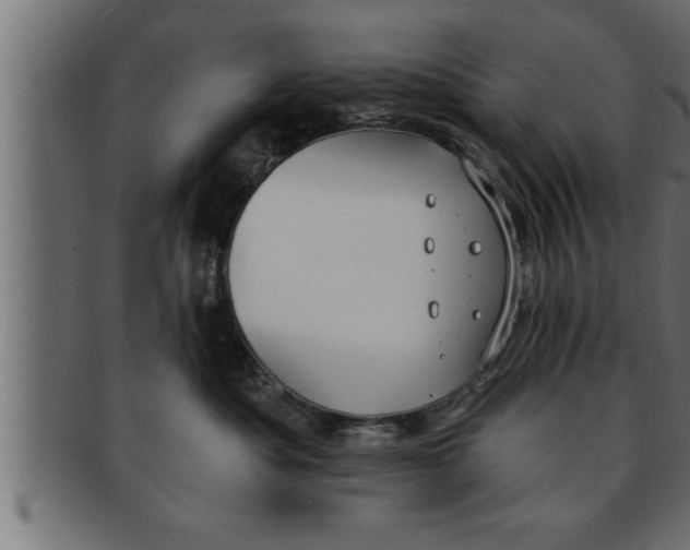 X0000091690525200709201300