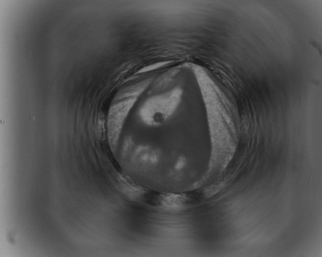 X0000091690527200709201300