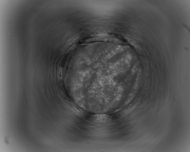 X0000091690528200709201300